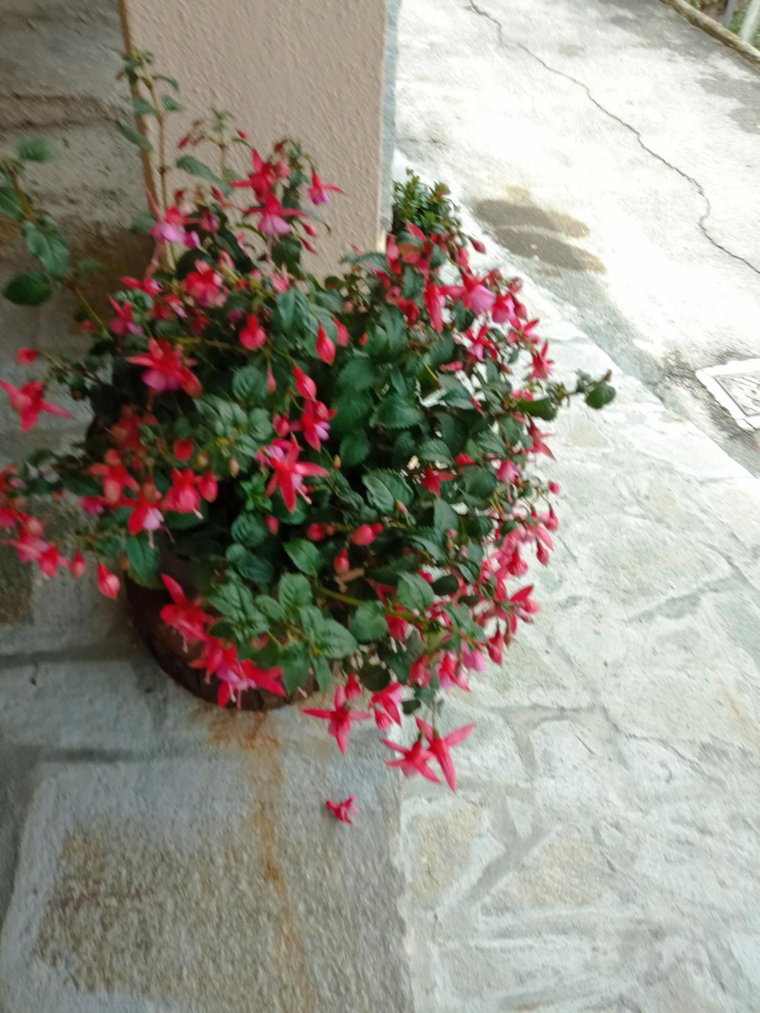 Agriturismo U'Spigu Nonna Annetta Nasino Экстерьер фото