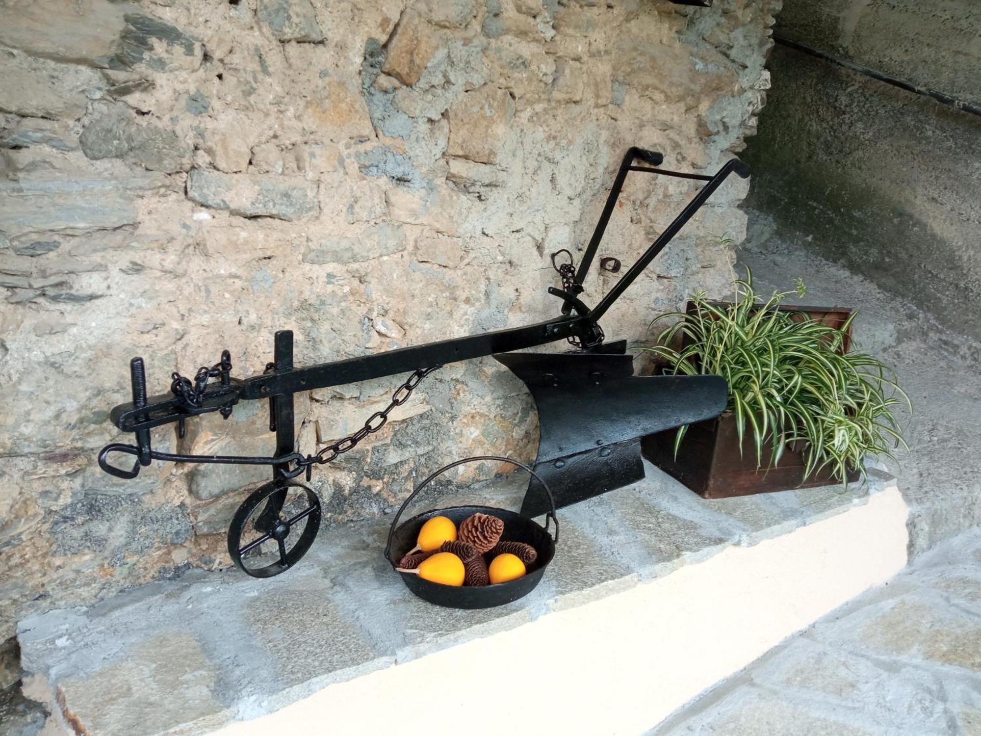 Agriturismo U'Spigu Nonna Annetta Nasino Экстерьер фото