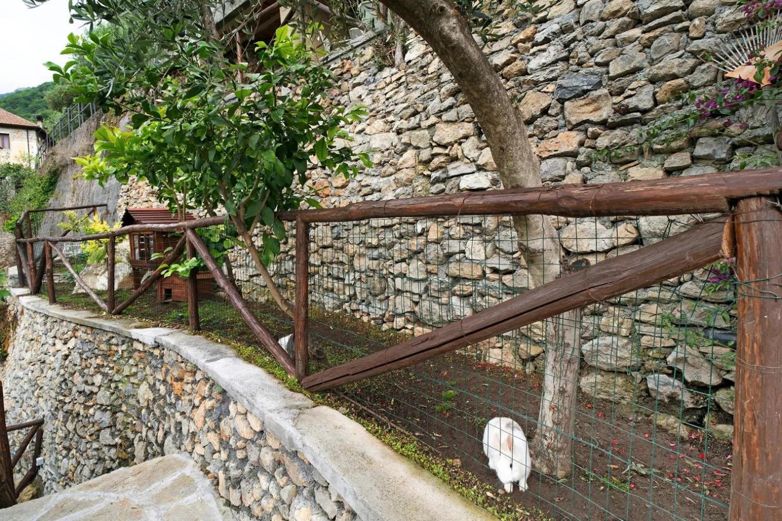 Agriturismo U'Spigu Nonna Annetta Nasino Экстерьер фото